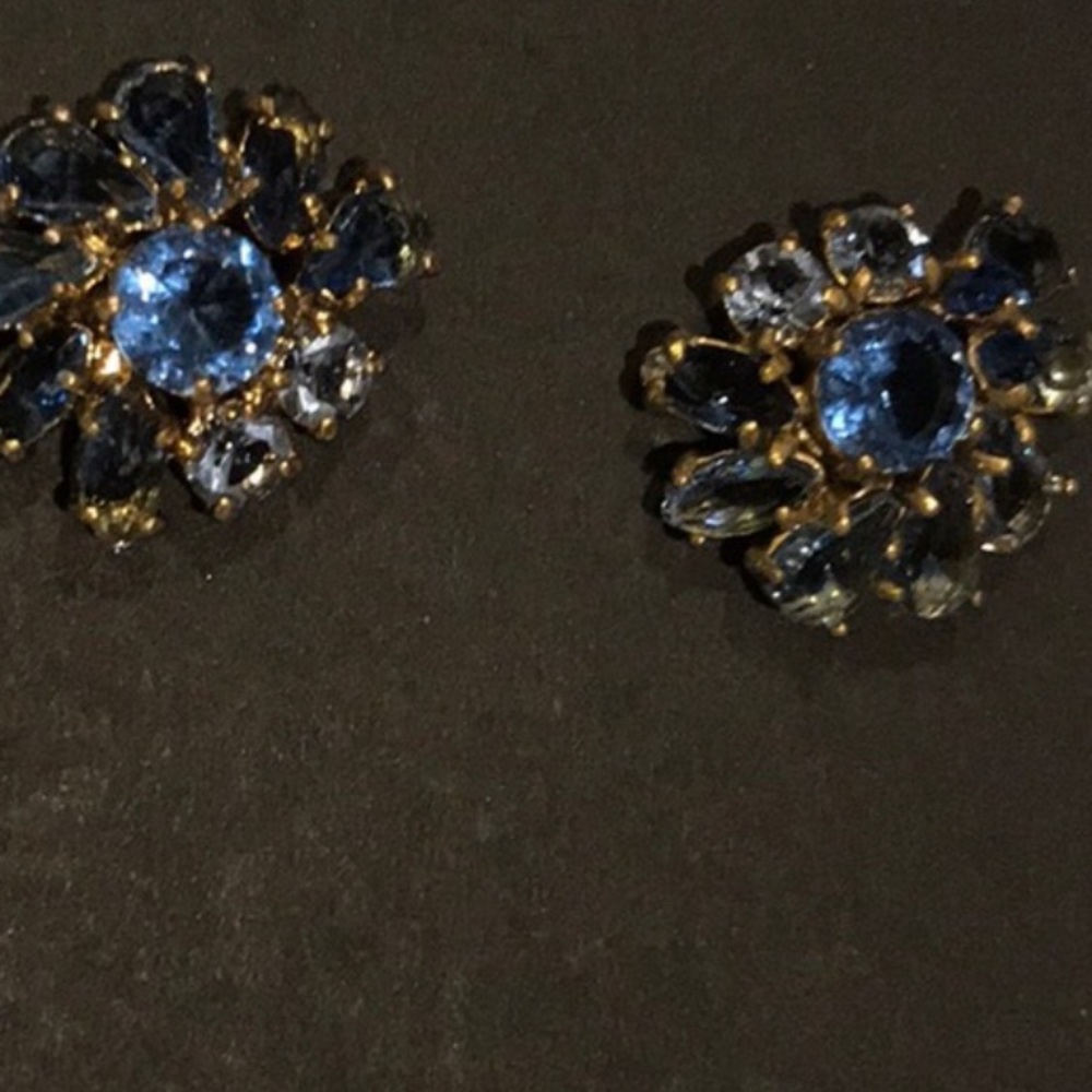 JCREW blue floral cluster earrings